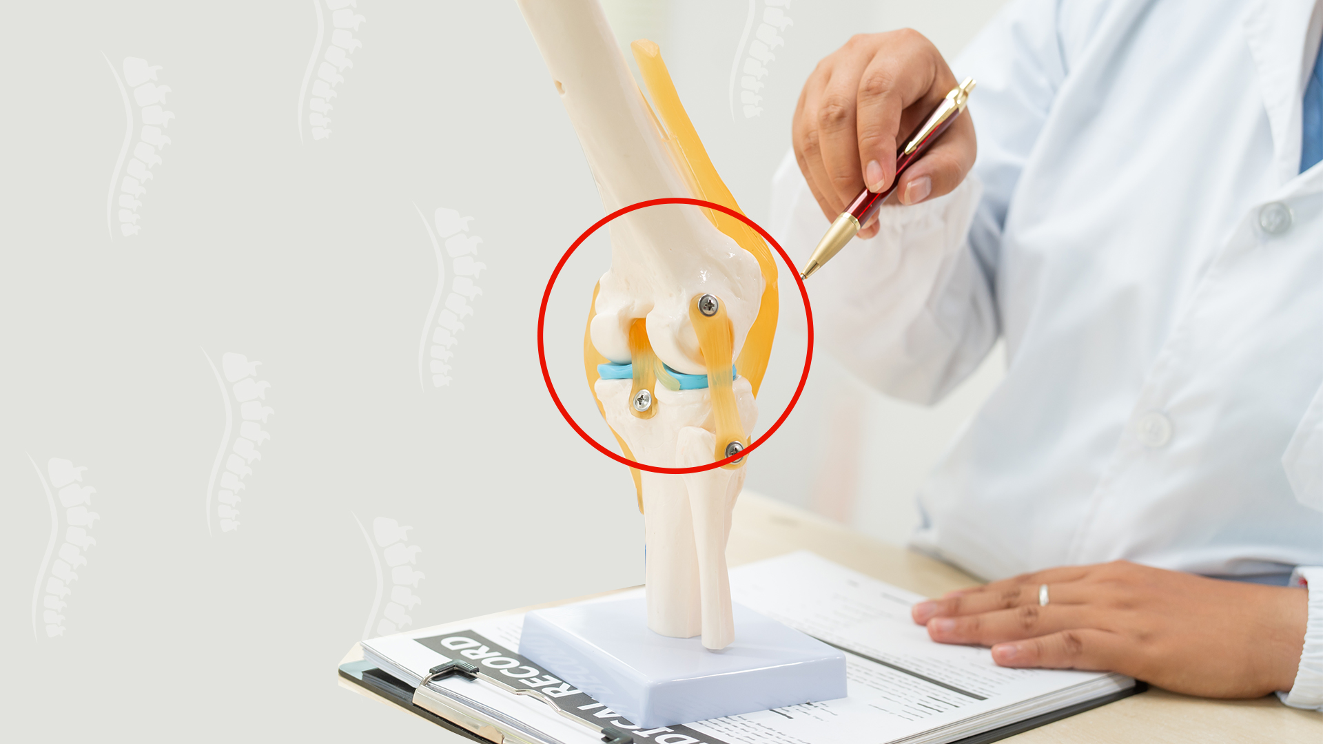 other/osteoporosis.jpg other/osteoporosis.jpg